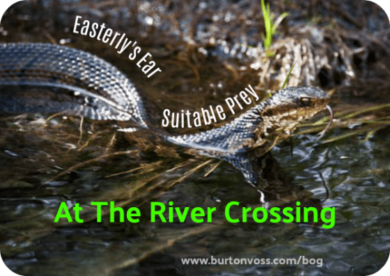 River Crossing