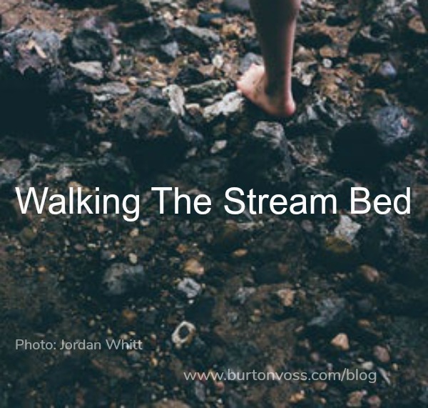 Stream Bed