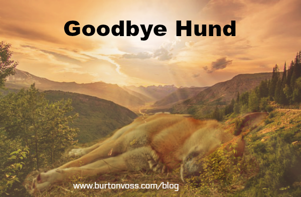 Dog lying in sleep with mountain background.