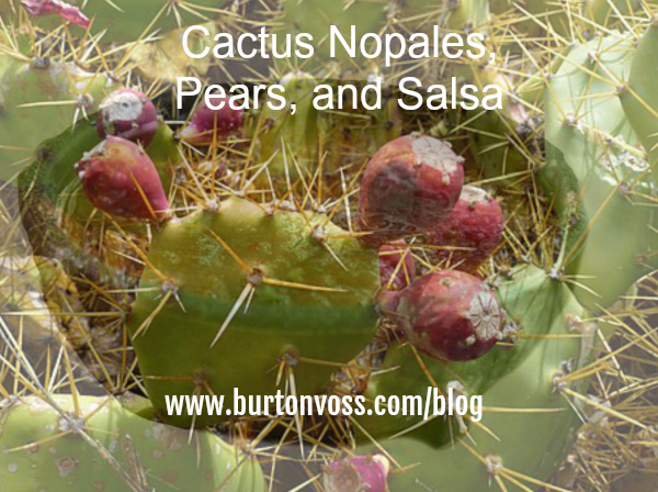 Picture of prickly pear cactus with a bowl of salsa superimposed.